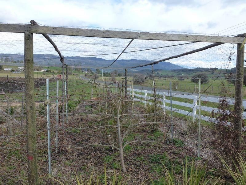 1256 Caveside Road, Chudleigh TAS 7304