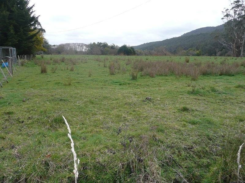 L1/ 119 Morrison Street, Kimberley TAS 7304