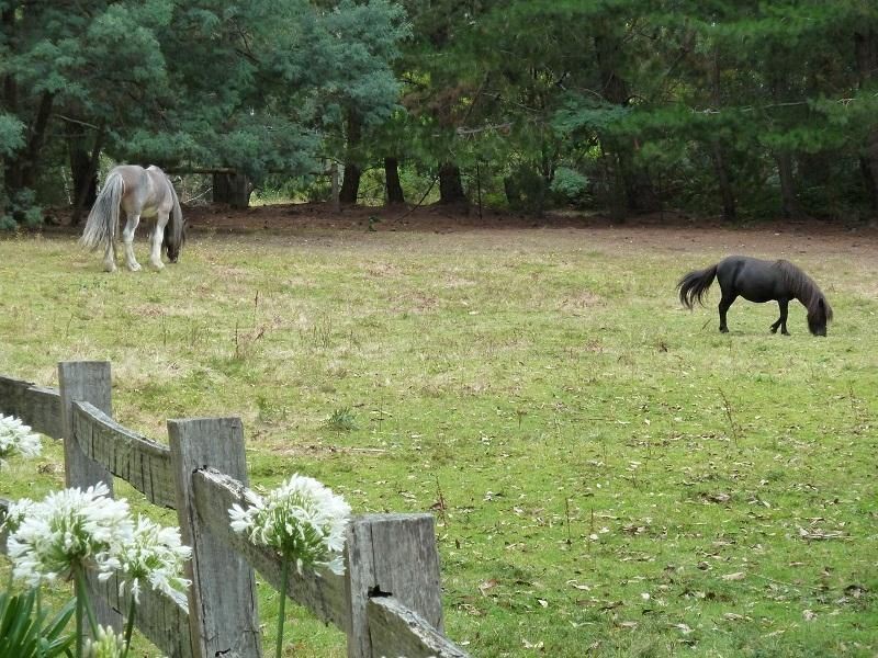 13504 Highland Lakes Road, Deloraine TAS 7304