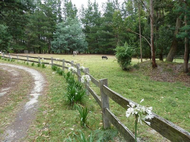 13504 Highland Lakes Road, Deloraine TAS 7304