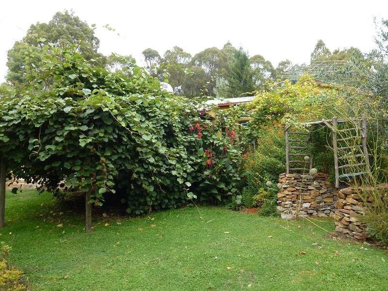 13504 Highland Lakes Road, Deloraine TAS 7304