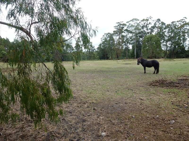 13504 Highland Lakes Road, Deloraine TAS 7304