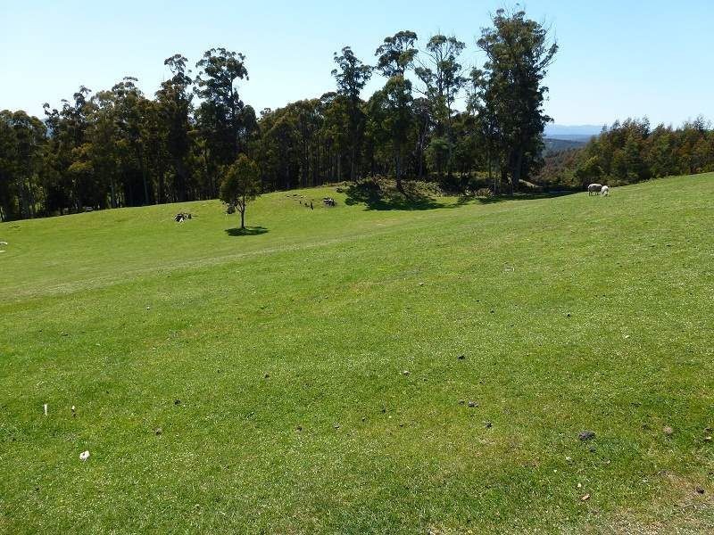 1071 Frankford Highway, Glengarry TAS 7275