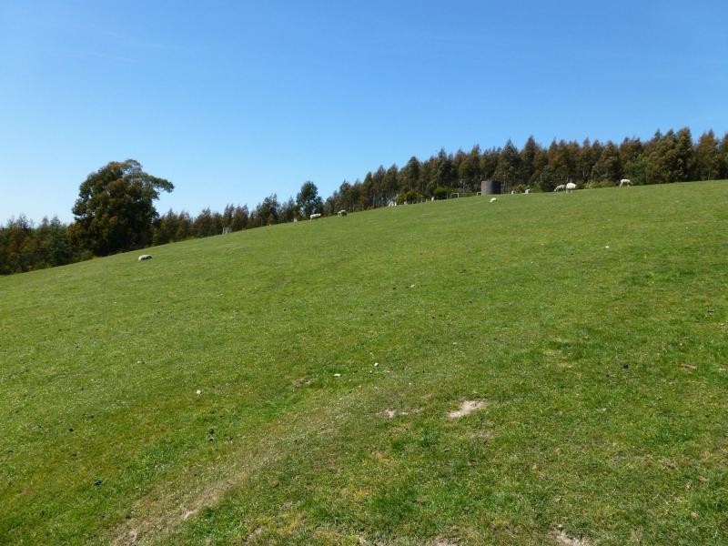 1071 Frankford Highway, Glengarry TAS 7275
