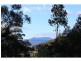 550 Porters Bridge Road, Reedy Marsh TAS 7304