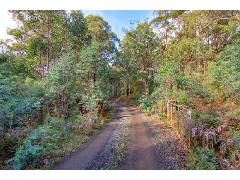 550 Porters Bridge Road, Reedy Marsh TAS 7304