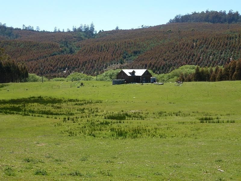 2317 Frankford Highway, Frankford TAS 7275