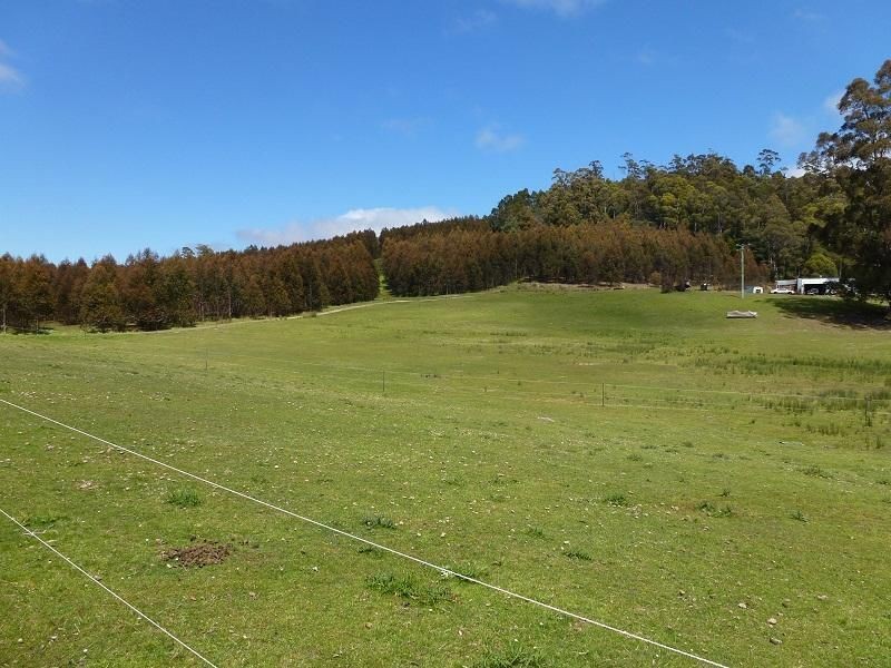 2317 Frankford Highway, Frankford TAS 7275