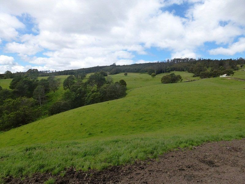 84 Coates Hill Road, Parkham TAS 7304