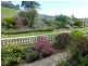 84 Coates Hill Road, Parkham TAS 7304