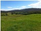 84 Coates Hill Road, Parkham TAS 7304