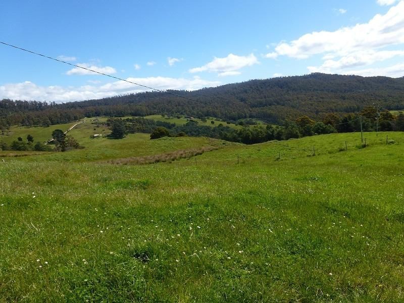 84 Coates Hill Road, Parkham TAS 7304