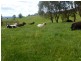 84 Coates Hill Road, Parkham TAS 7304