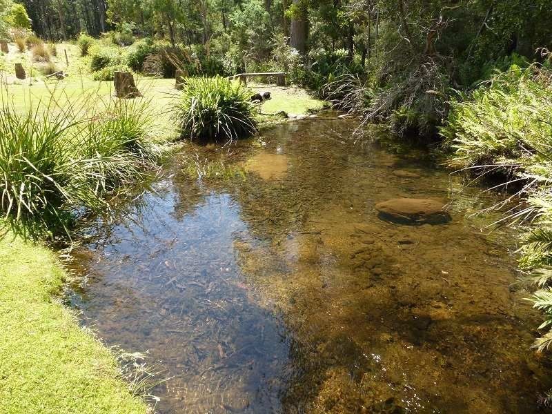 760 Western Creek Road, Western Creek TAS 7304