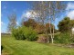 297 Dunorlan Road, Dunorlan TAS 7304