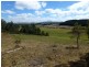 120 Pumicestone Road, Deloraine TAS 7304