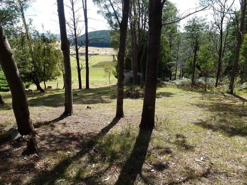 120 Pumicestone Road, Deloraine TAS 7304