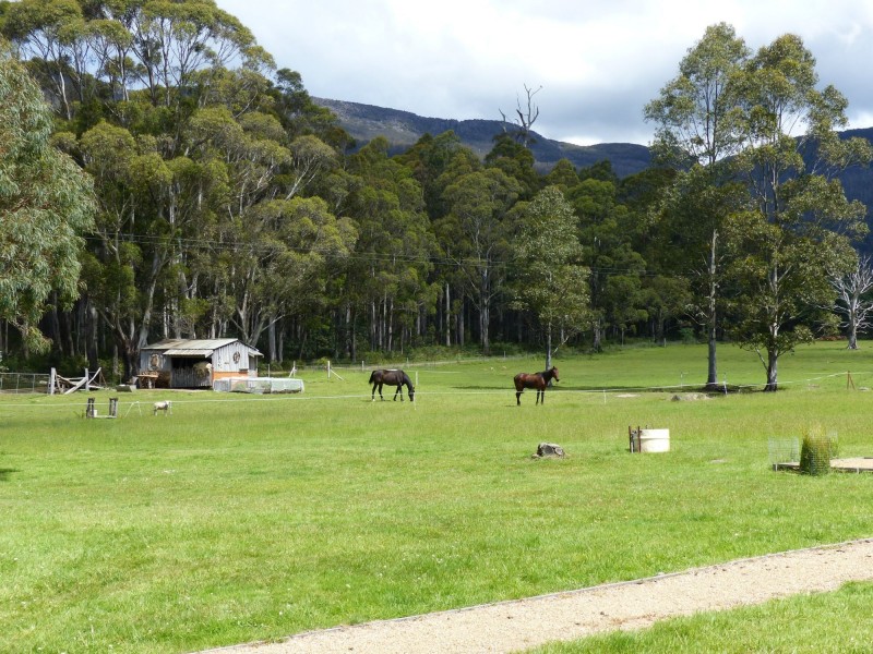 74 Cunninghams Road, Western Creek TAS 7304