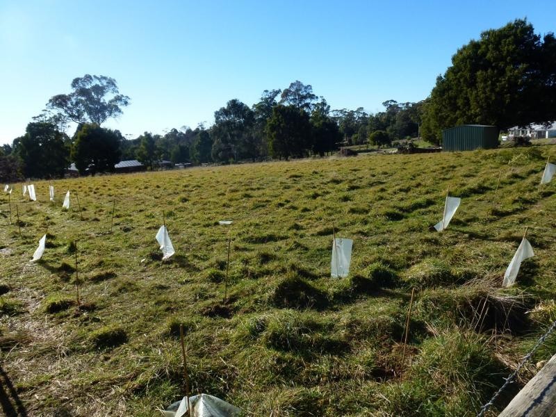 L4 Victor Street, Latrobe TAS 7307