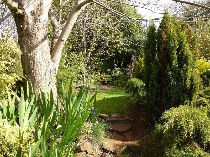 22 West Barrack Street, Deloraine TAS 7304