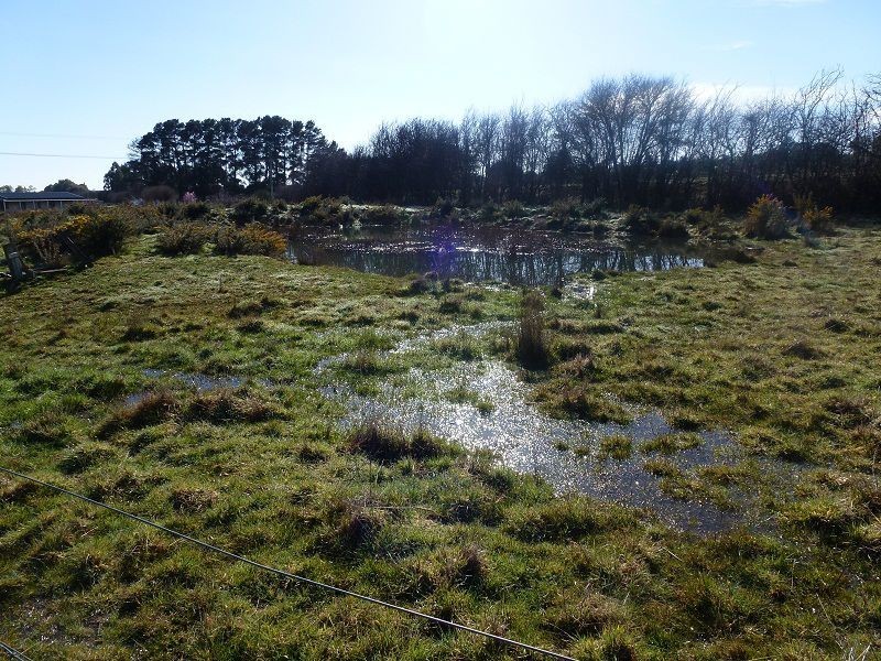 223 Veterans Row, Westbury TAS 7303