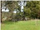 167 Main Road, Meander TAS 7304