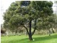 167 Main Road, Meander TAS 7304