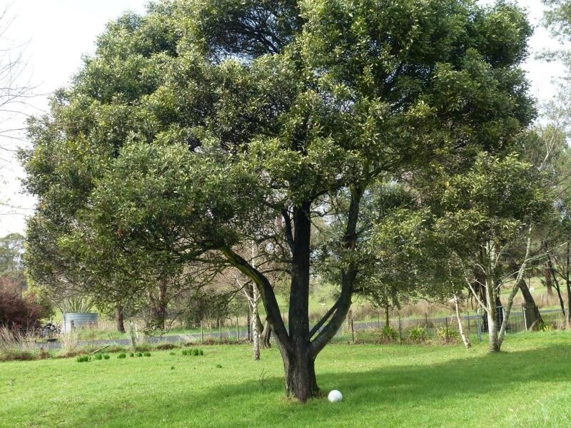 167 Main Road, Meander TAS 7304