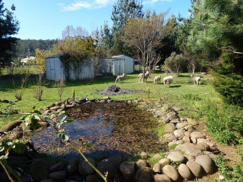 7 Caveside Road, Mole Creek TAS 7304