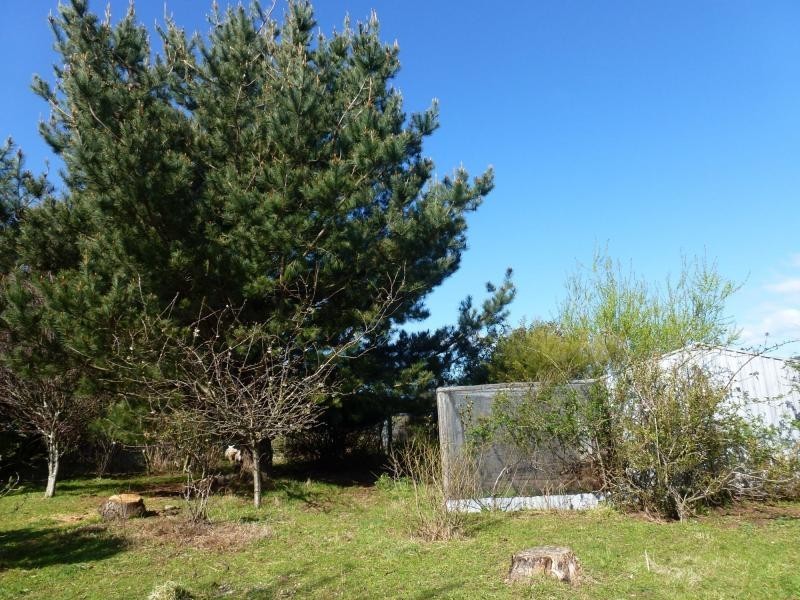 7 Caveside Road, Mole Creek TAS 7304