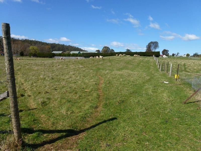 7 Caveside Road, Mole Creek TAS 7304
