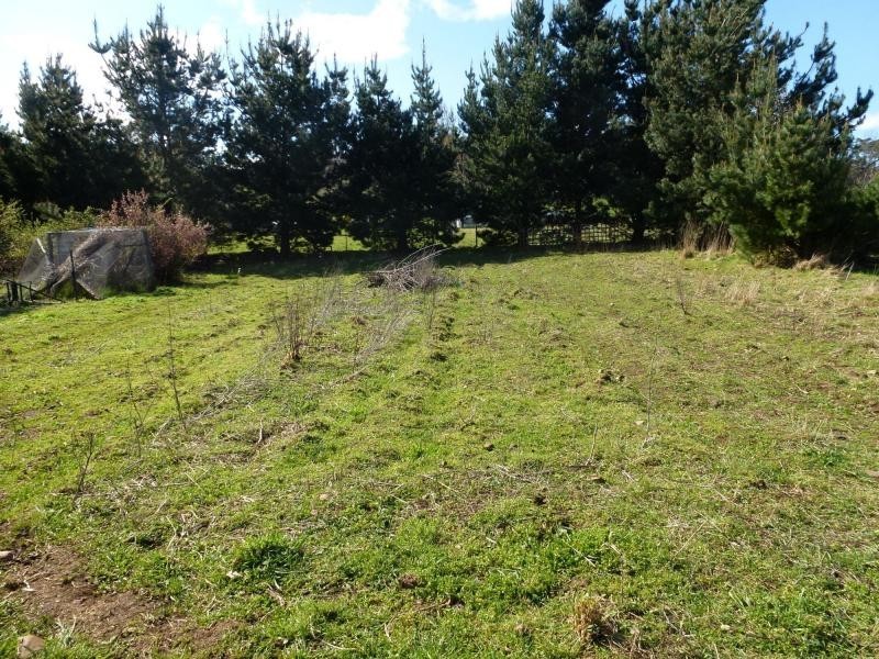 7 Caveside Road, Mole Creek TAS 7304
