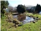 7 Caveside Road, Mole Creek TAS 7304