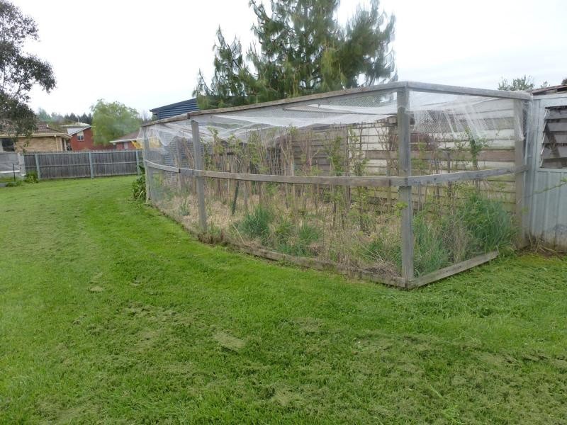 51A East Barrack Street, Deloraine TAS 7304
