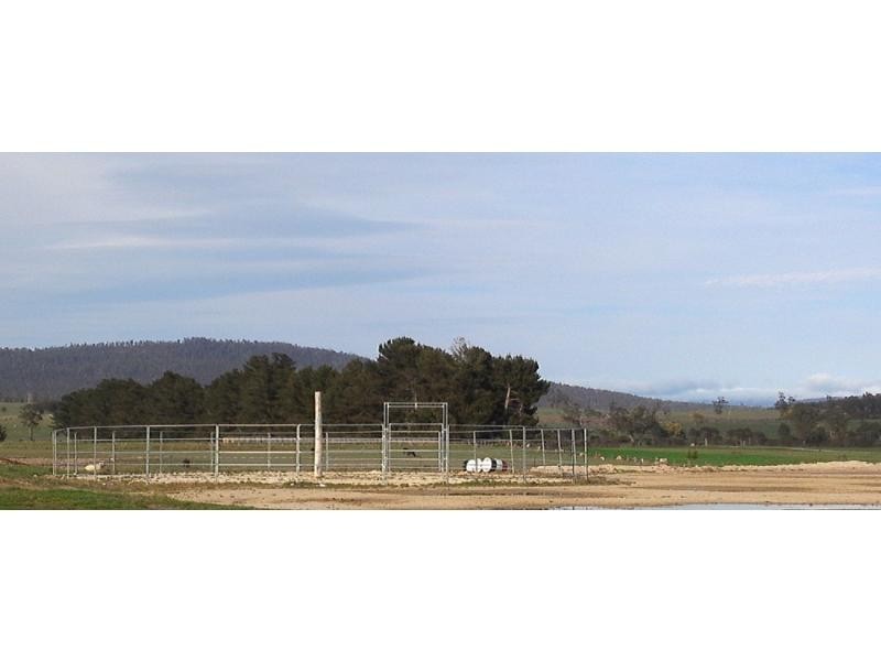 180 Maloneys Road, Parkham TAS 7304