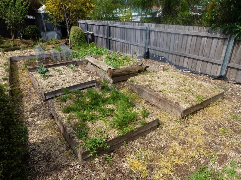 12 Beefeater Street, Deloraine TAS 7304