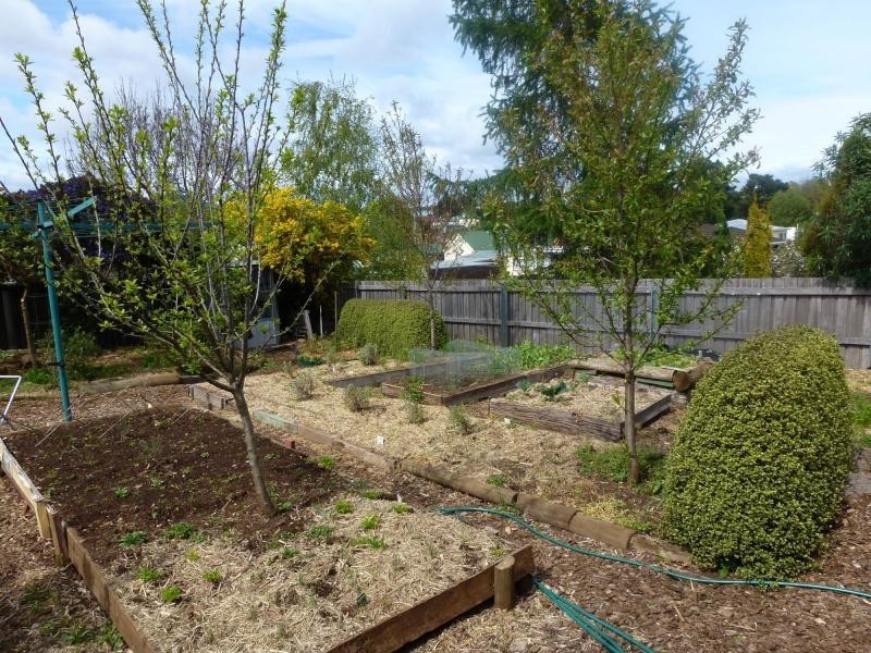 12 Beefeater Street, Deloraine TAS 7304