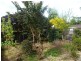 12 Beefeater Street, Deloraine TAS 7304