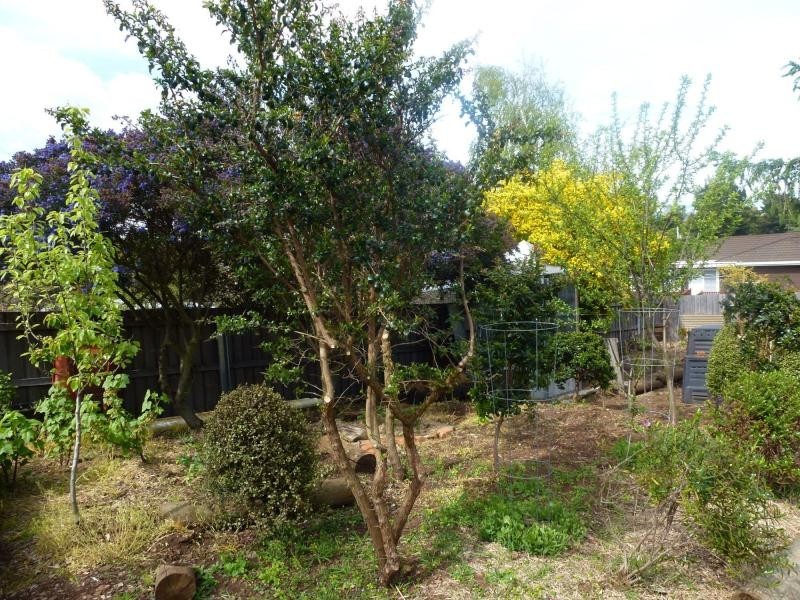 12 Beefeater Street, Deloraine TAS 7304