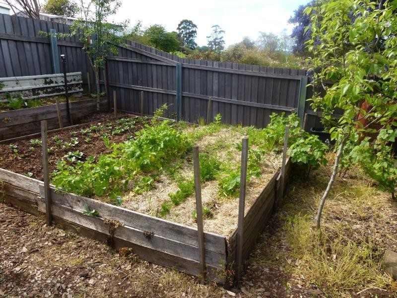 12 Beefeater Street, Deloraine TAS 7304