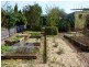 12 Beefeater Street, Deloraine TAS 7304