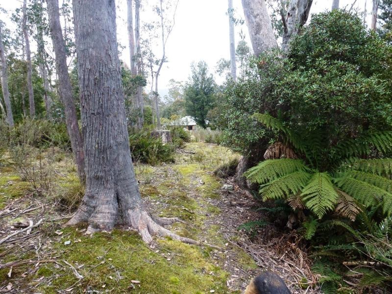 Golden Valley TAS 7304