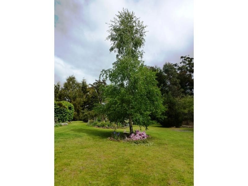 99 Samuel Street, Elizabeth Town TAS 7304