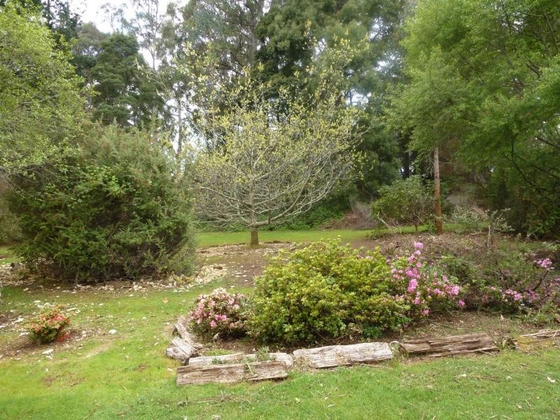 99 Samuel Street, Elizabeth Town TAS 7304