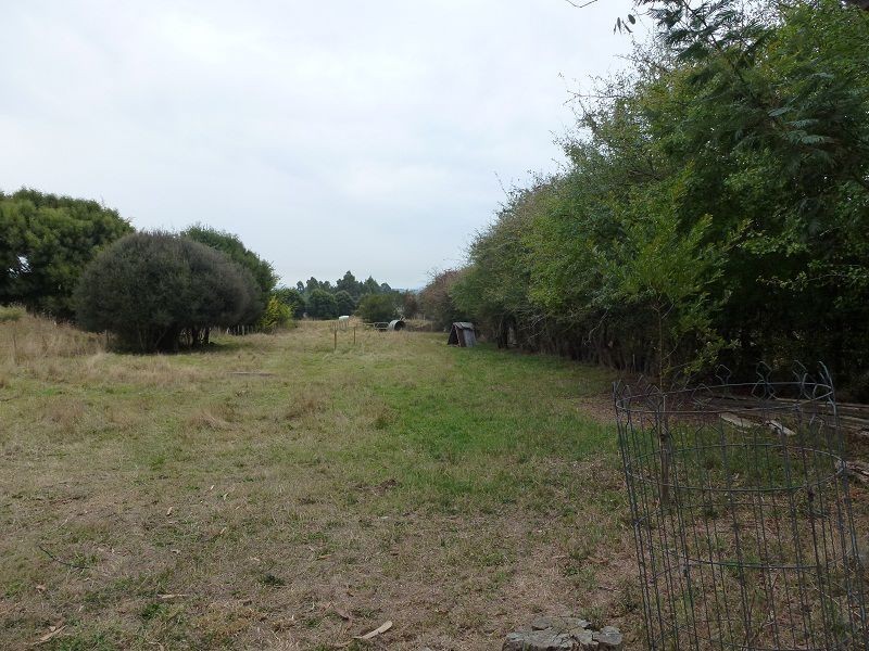 29 Five Acre Row, Westbury TAS 7303