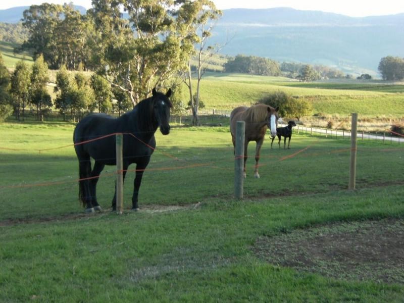 31 Walters Road, Mole Creek TAS 7304