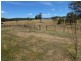 31 Walters Road, Mole Creek TAS 7304