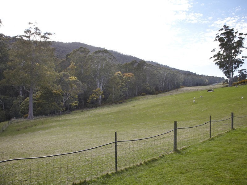 1182 Mole Creek Road, Deloraine TAS 7304