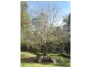 78 Wadleys Road, Deloraine TAS 7304