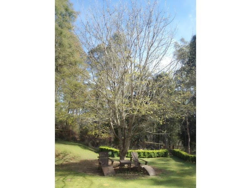 78 Wadleys Road, Deloraine TAS 7304